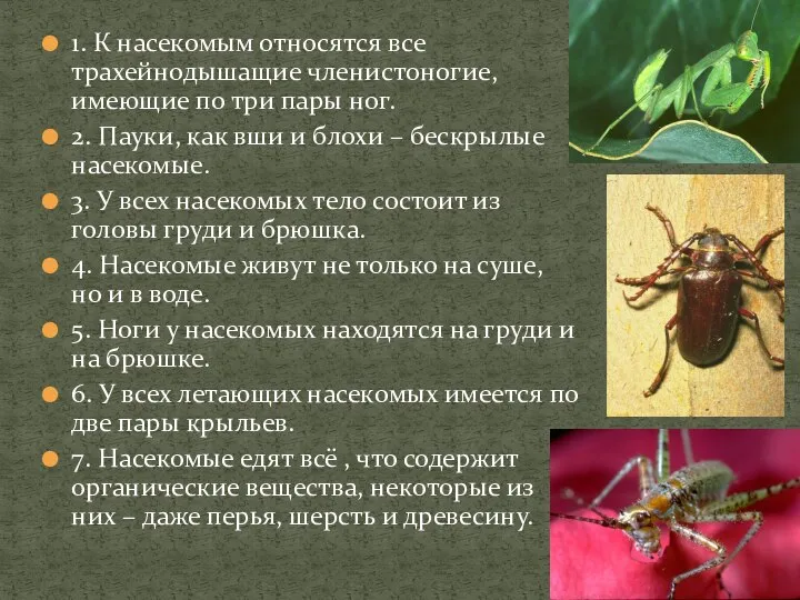 1. К насекомым относятся все трахейнодышащие членистоногие, имеющие по три пары