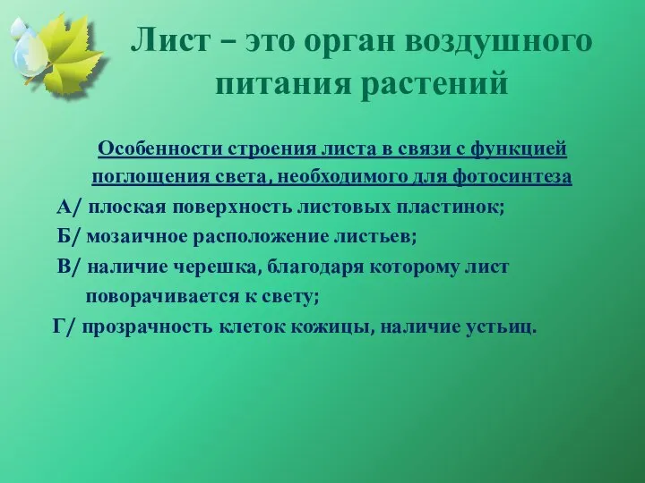 Лист – это орган воздушного питания растений Особенности строения листа в