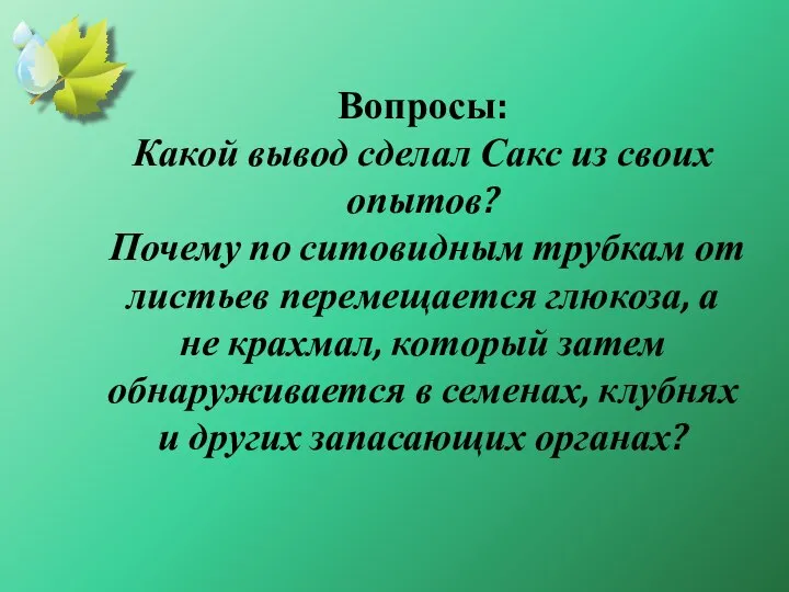 Вопросы: Какой вывод сделал Сакс из своих опытов? Почему по ситовидным