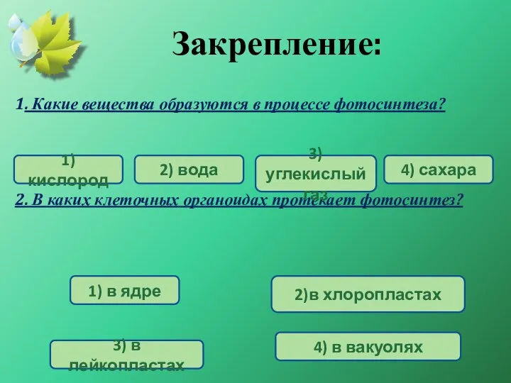 Закрепление: 1. Какие вещества образуются в процессе фотосинтеза? 2. В каких