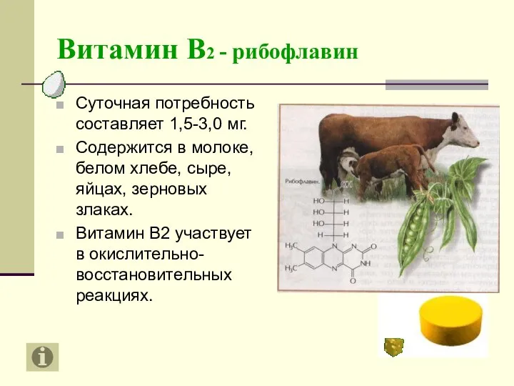 Витамин В2 - рибофлавин Суточная потребность составляет 1,5-3,0 мг. Содержится в