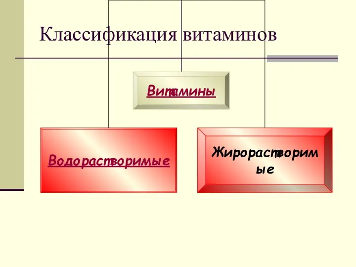 Классификация витаминов