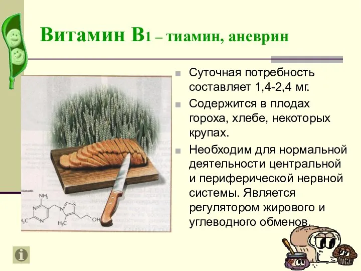 Витамин В1 – тиамин, аневрин Суточная потребность составляет 1,4-2,4 мг. Содержится