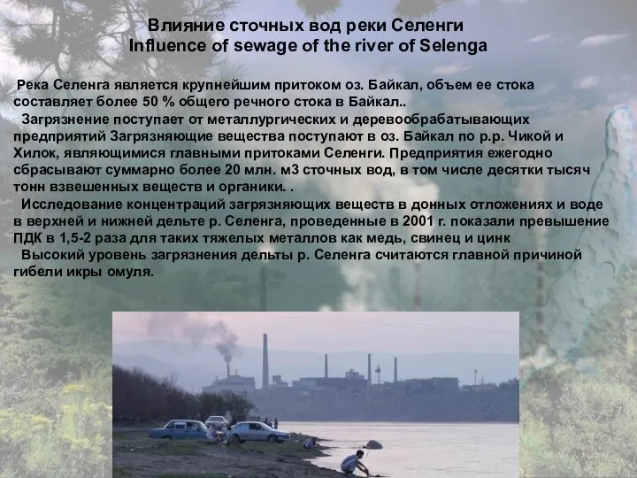 Влияние сточных вод реки Селенги Influence of sewage of the river