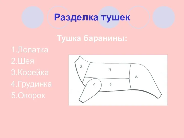 Разделка тушек Тушка баранины: 1.Лопатка 2.Шея 3.Корейка 4.Грудинка 5.Окорок