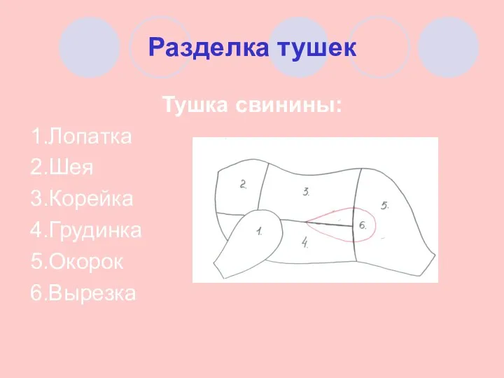 Разделка тушек Тушка свинины: 1.Лопатка 2.Шея 3.Корейка 4.Грудинка 5.Окорок 6.Вырезка