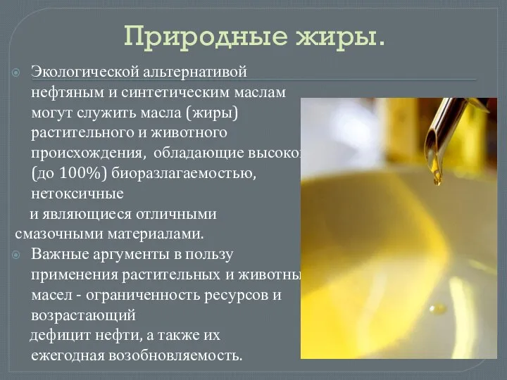 Природные жиры. Экологической альтернативой нефтяным и синтетическим маслам могут служить масла