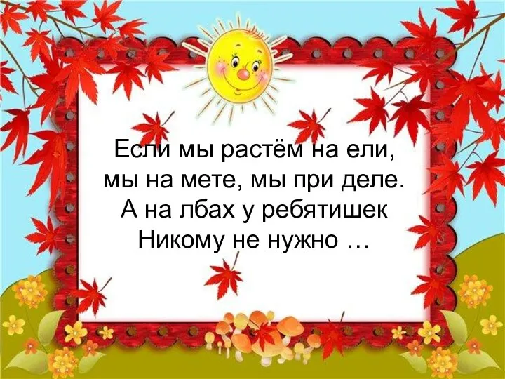 Если мы растём на ели, мы на мете, мы при деле.