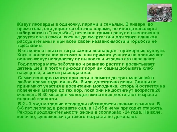 Живут леопарды в одиночку, парами и семьями. В январе, во время