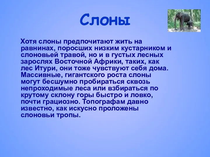 Слоны Хотя слоны предпочитают жить на равнинах, поросших низким кустарником и