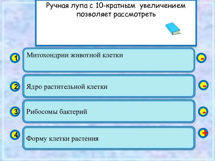 Митохондрии животной клетки 1 2 3 4 Ядро растительной клетки Рибосомы