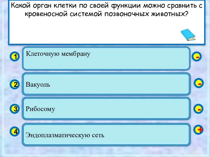 Клеточную мембрану 1 2 3 4 Вакуоль Рибосому Эндоплазматическую сеть -