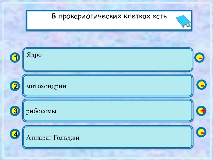 Ядро 1 2 3 4 митохондрии рибосомы Аппарат Гольджи - -