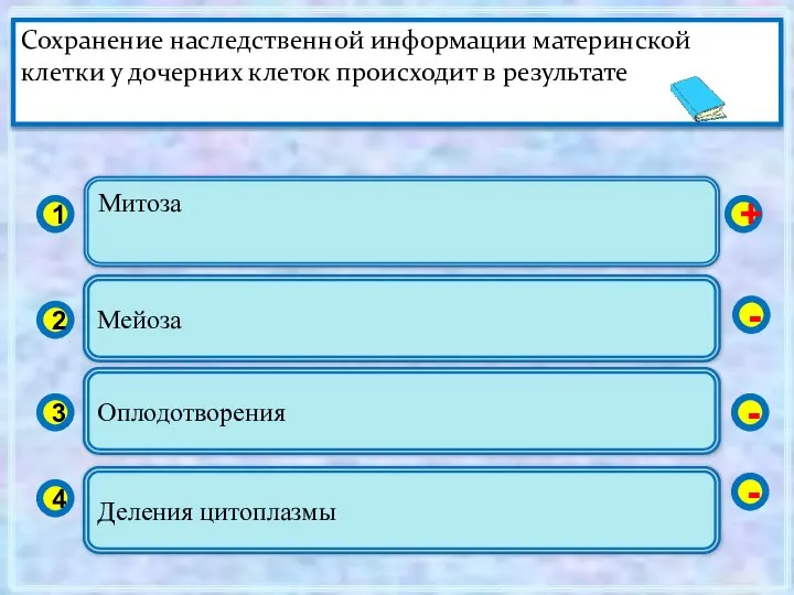 Митоза 1 2 3 4 Мейоза Оплодотворения Деления цитоплазмы + -