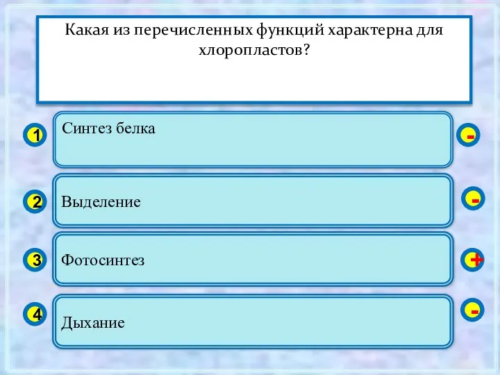 Синтез белка 1 2 3 4 Выделение Фотосинтез Дыхание - -
