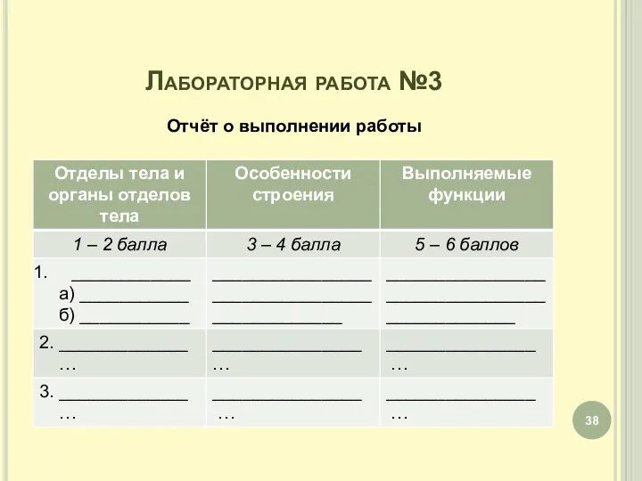 Лабораторная работа №3 Отчёт о выполнении работы