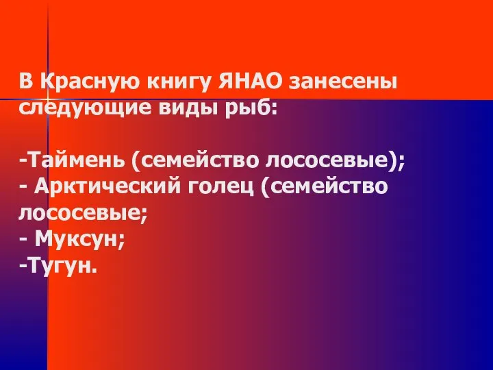 В Красную книгу ЯНАО занесены следующие виды рыб: -Таймень (семейство лососевые);