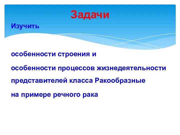 Изучить особенности строения и особенности процессов жизнедеятельности представителей класса Ракообразные на примере речного рака Задачи