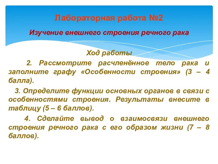 Лабораторная работа №2 Изучение внешнего строения речного рака Ход работы 2.