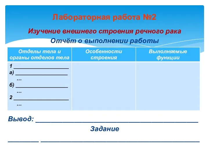 Лабораторная работа №2 Изучение внешнего строения речного рака Отчёт о выполнении