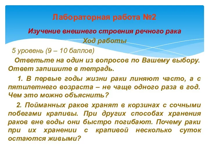 Лабораторная работа №2 Изучение внешнего строения речного рака Ход работы 5