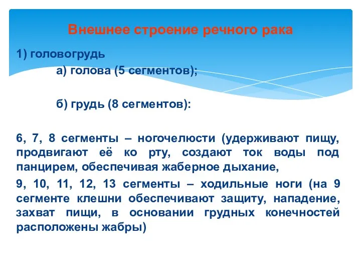 Внешнее строение речного рака 1) головогрудь а) голова (5 сегментов); б)