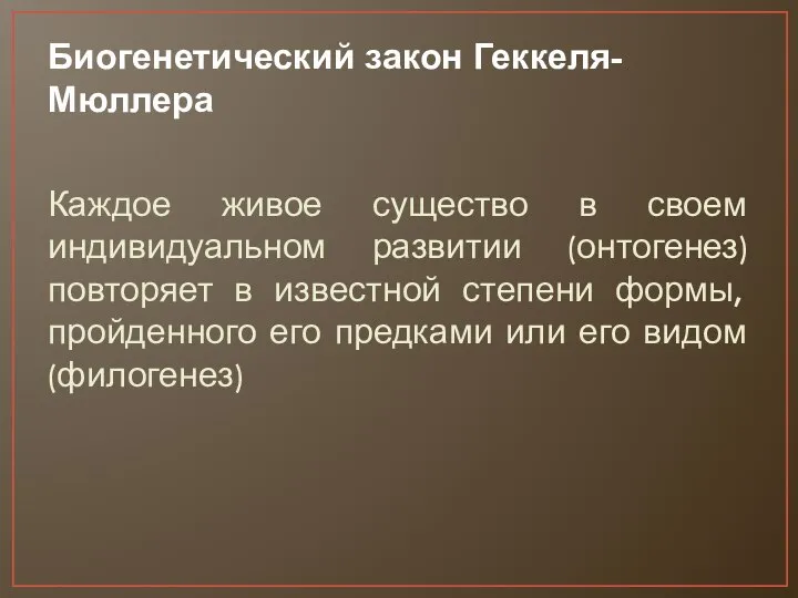 Биогенетический закон Геккеля-Мюллера Каждое живое существо в своем индивидуальном развитии (онтогенез)