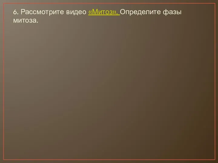 6. Рассмотрите видео «Митоз». Определите фазы митоза.