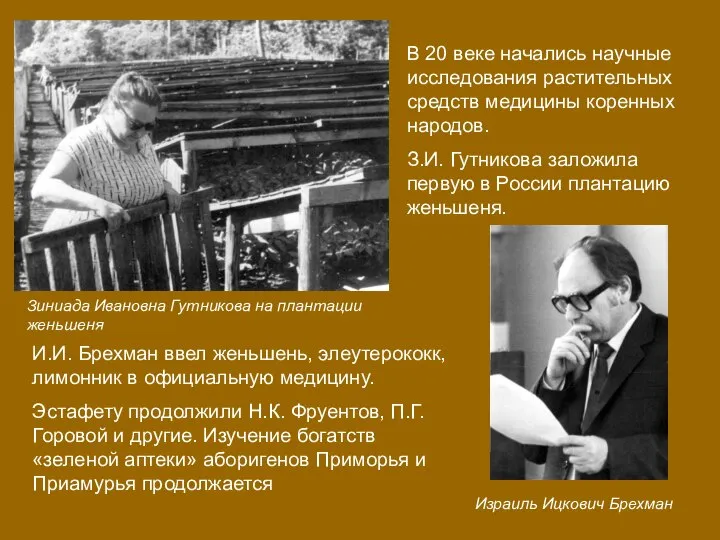 В 20 веке начались научные исследования растительных средств медицины коренных народов.