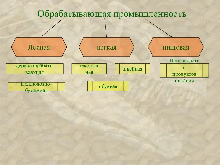 Обрабатывающая промышленность Лесная легкая пищевая текстильная обувная швейная Производство продуктов питания Целлюлозно-бумажная деревообрабатывающая