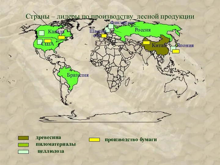 Страны – лидеры по производству лесной продукции древесина