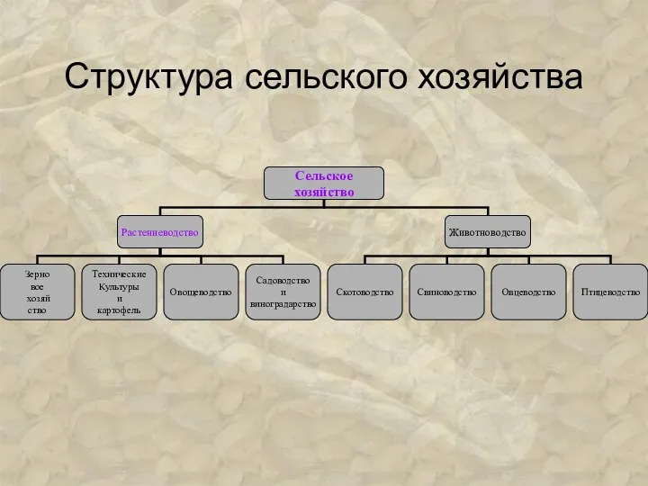 Структура сельского хозяйства