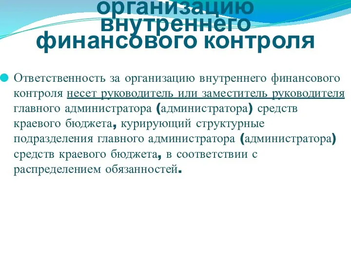 Ответственность за организацию внутреннего финансового контроля Ответственность за организацию внутреннего финансового