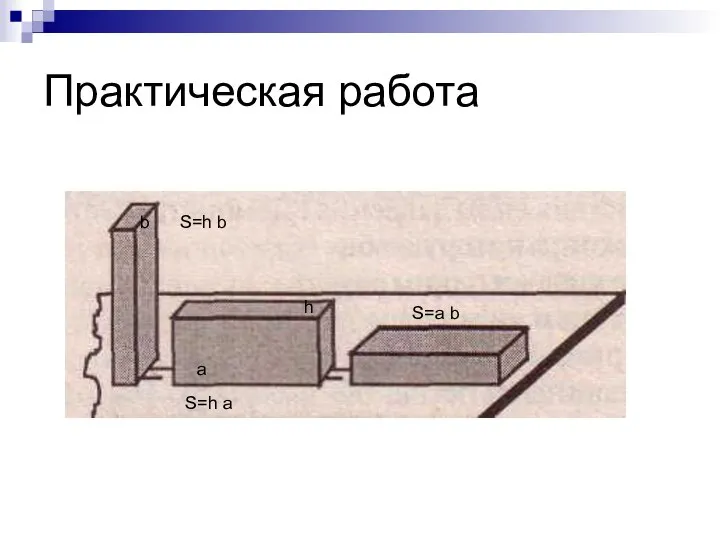 Практическая работа a b h S=h b S=h a S=a b