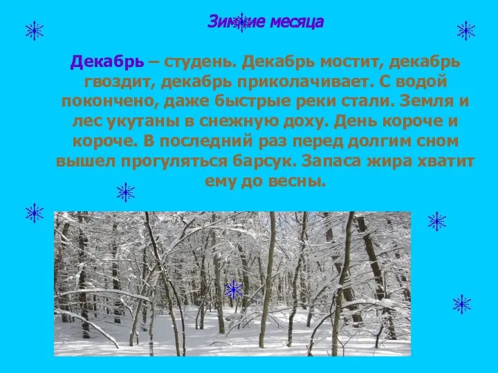 Зимние месяца Декабрь – студень. Декабрь мостит, декабрь гвоздит, декабрь приколачивает.