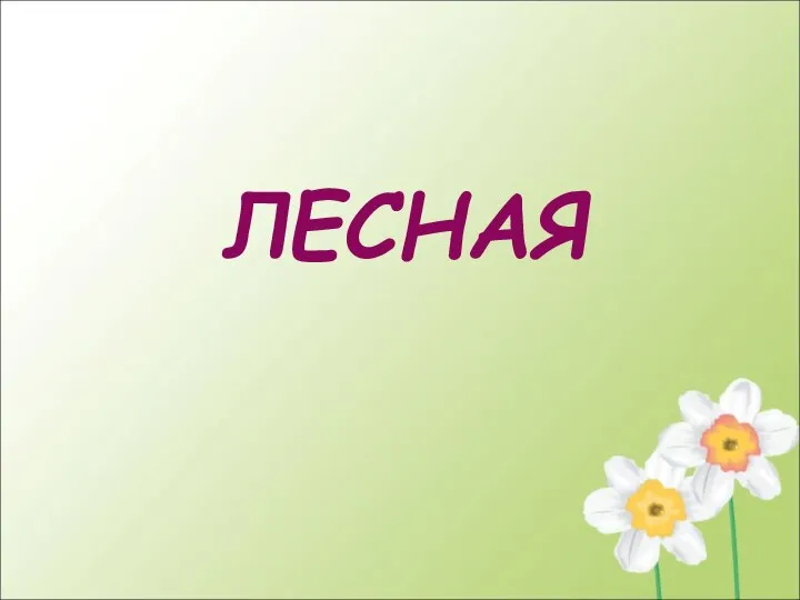 ЛЕСНАЯ