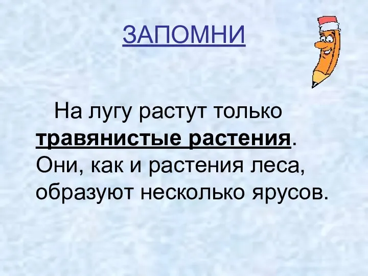 ЗАПОМНИ На лугу растут только травянистые растения. Они, как и растения леса, образуют несколько ярусов.