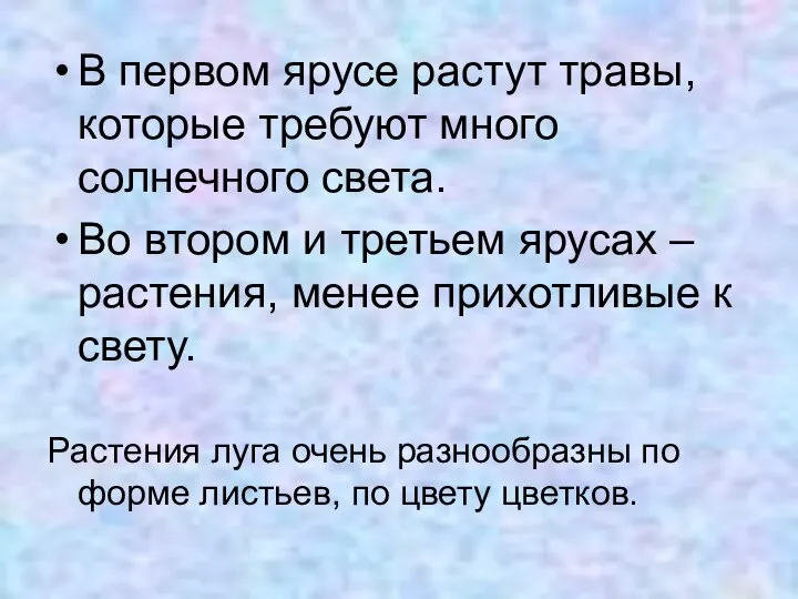 В первом ярусе растут травы, которые требуют много солнечного света. Во