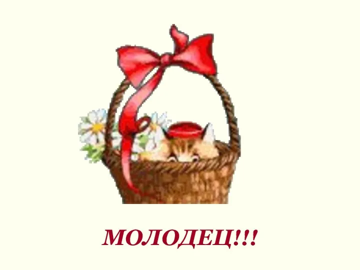 МОЛОДЕЦ!!!