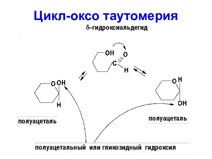 Цикл-оксо таутомерия