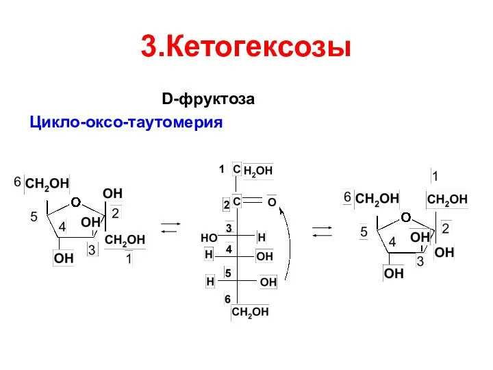 3.Кетогексозы D-фруктоза Цикло-оксо-таутомерия