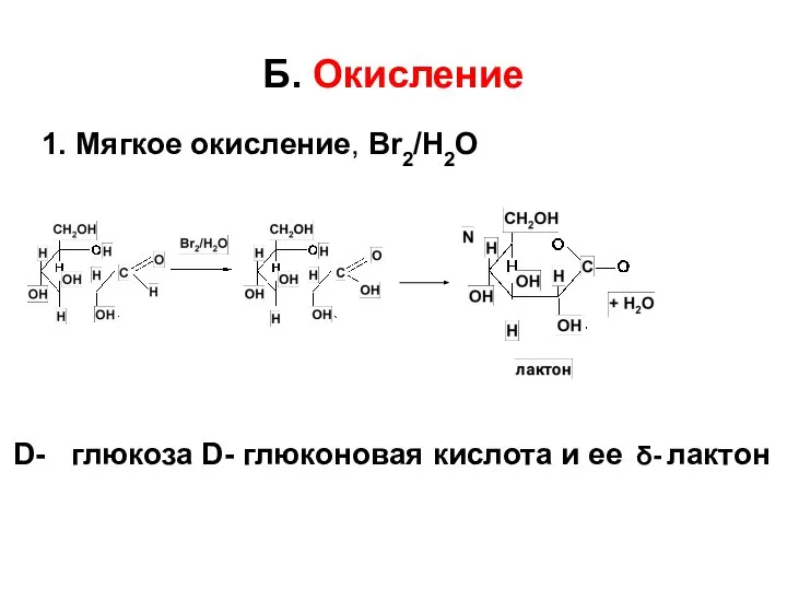 Б. Окисление 1. Мягкое окисление, Br2/H2O D- глюкоза D- глюконовая кислота и ее δ- лактон