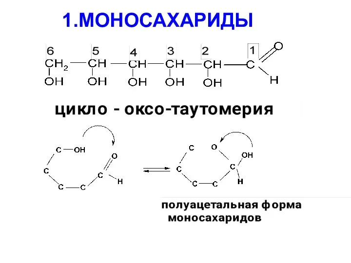 1.МОНОСАХАРИДЫ