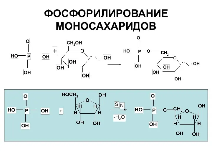 ФОСФОРИЛИРОВАНИЕ МОНОСАХАРИДОВ