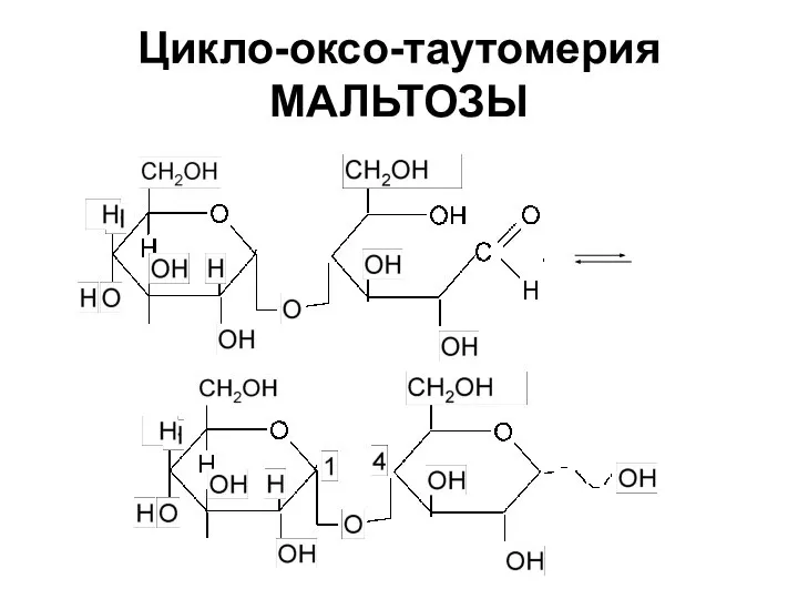 Цикло-оксо-таутомерия МАЛЬТОЗЫ