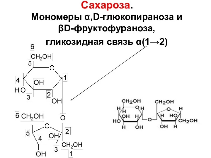 Сахароза. Мономеры α,D-глюкопираноза и βD-фруктофураноза, гликозидная связь α(1→2)