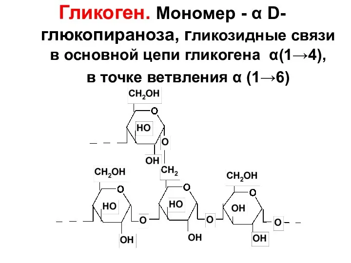 Гликоген. Мономер - α D-глюкопираноза, гликозидные связи в основной цепи гликогена