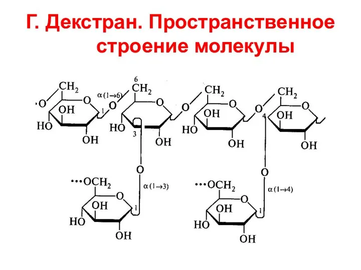 Г. Декстран. Пространственное строение молекулы