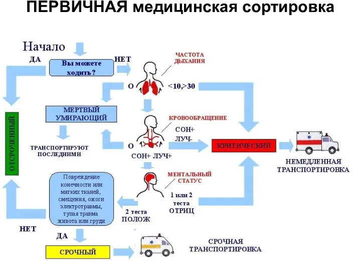 ПЕРВИЧНАЯ медицинская сортировка