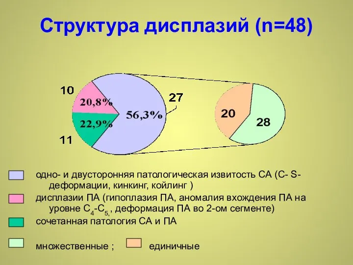 Структура дисплазий (n=48) одно- и двусторонняя патологическая извитость СА (С- S-деформации,